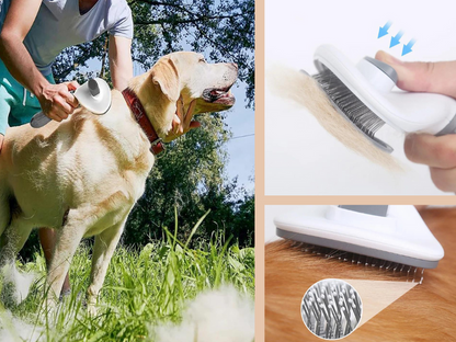 Stainless Steel Hair Brush for Pet